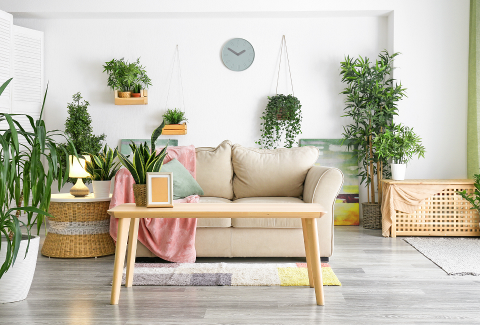 living room with a number of house plants