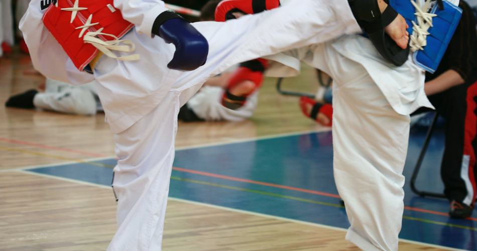Martial Arts Taekwondo