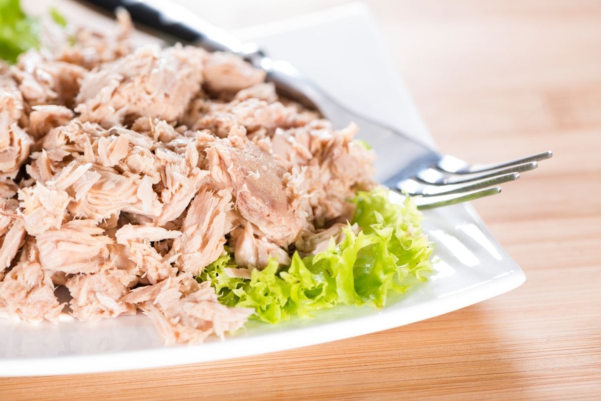Canned Tuna for muscle recovery